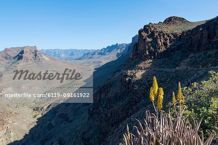 Barranco de Fataga canyon seen from Degollada de La Yegua viewpoint, Gran Canaria, Canary Islands, Spain, Europe