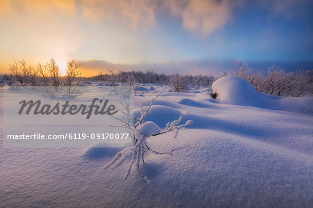 Sunset on the forest covered with snow, Muonio, Lapland, Finland, Europe