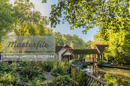 A view of Duck Island Cottage by St. James's Park lake in St. James's Park, London, England, United Kingdom, Europe