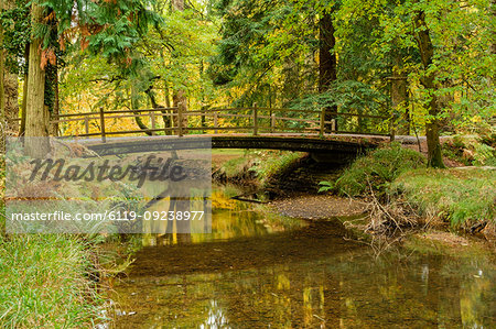 Road Bridge over the Black Water River in autumn, New Forest National Park, Hampshire, England, United Kingdom, Europe