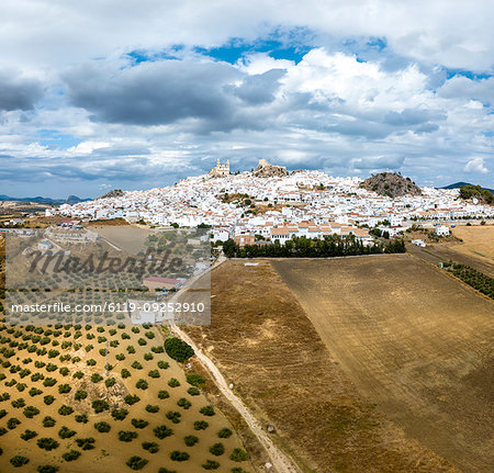 Olive groves by white town of Olvera in Spain, Europe