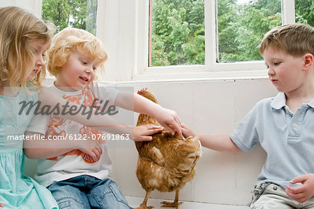 Children stroking a chicken