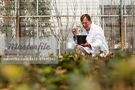 Man inspecting plants in nursery