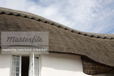 Traditional thatched Devonshire cottage