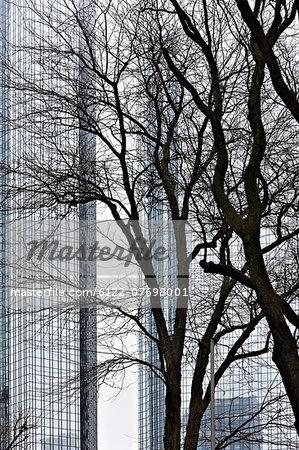 Trees in front of office building