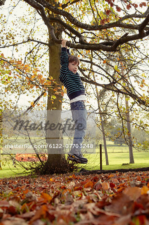 Boy playing on tree outdoors