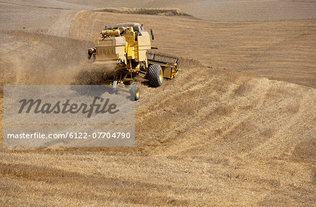Harvester at work in crop fields