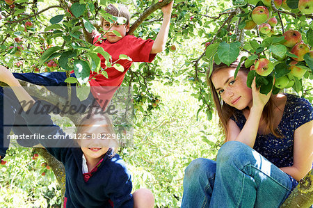 Smiling children climbing tree together