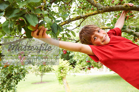 Smiling boy climbing fruit tree