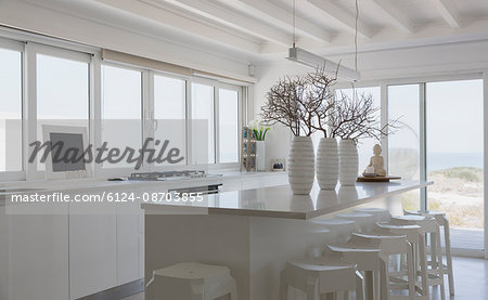 Modern white kitchen home showcase interior