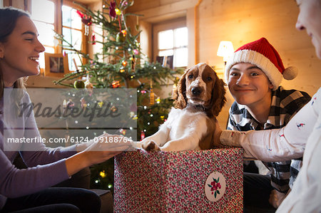 Portrait family playing with dog in Christmas gift box