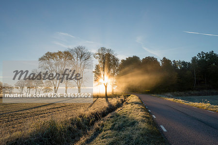 Sweden, Sodermanland, Hagersta, Road in sunlight