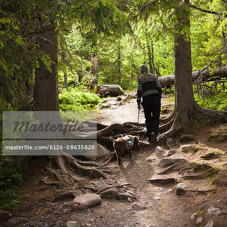Sweden, Dalama, Fulufjallet National Park, Woman walking dog in forest