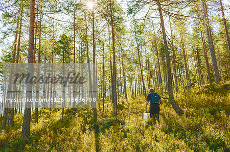 Finland, Keski-Suomi, Jyvaskyla, Man walking in pine forest