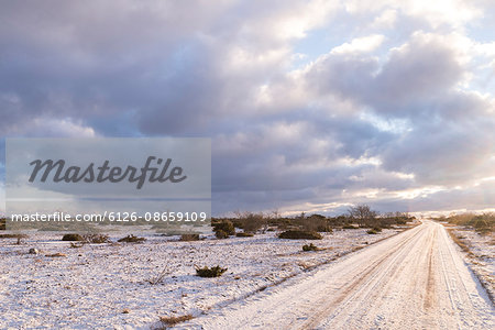 Sweden, Gotland, Alvret, Empty road in winter