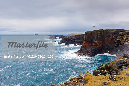 Rocky coastline