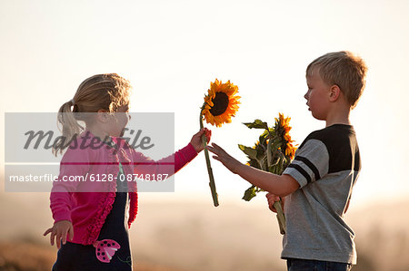 Little boy giving sunflower to little girl.