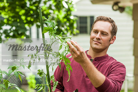 Man tending plant in garden.