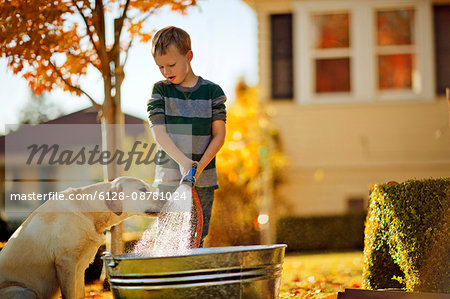 Young boy watching his dog drink from a running hose while he fills up a tub in the backyard.