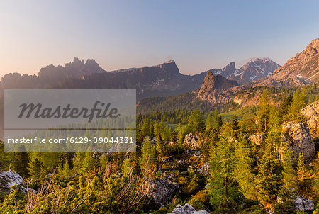 Mountain forest lit by the first rays of the day,Cortina d'Ampezzo,Belluno district,Veneto,Italy,Europe