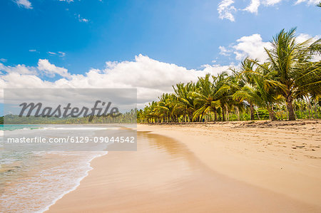 Playa Rincon, Samana Peninsula, Dominican Republic.