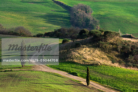 Val d'Orcia, province of Siena, Italy, Tuscany.