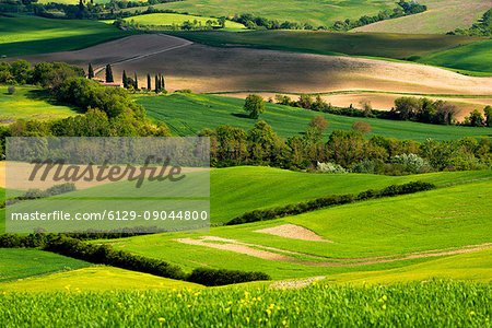 Belvedere Farmhouse at dawn, San Quirico d'Orcia, Orcia Valley, Siena province, Italy, Europe.