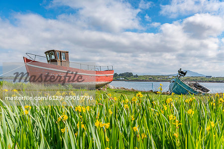 Wooden fishing boats in Roundstone. Co. Galway, Connacht province, Ireland.