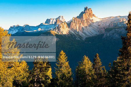 Croda da Lago and mount Pelmo framed by the trees, Dolomites, Cortina d Ampezzo, Belluno, Veneto, Italy