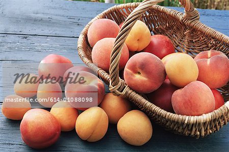 Basket of peaches and apricots