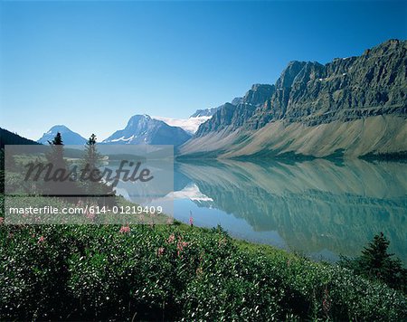 Bow lake at banff national park