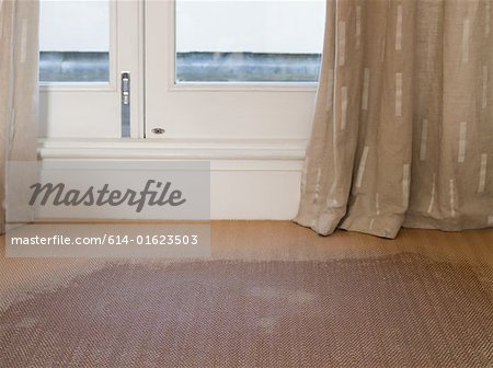 A wet carpet