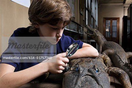 A boy examining a crocodile with a magnifying glass