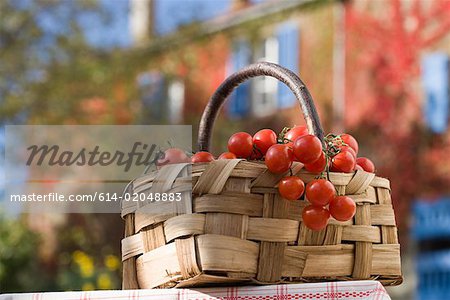 Basket of cherry tomatoes