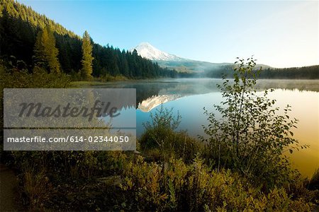 Mounthood and trillium lake