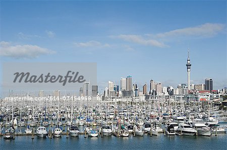 Auckland skyline