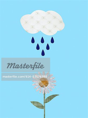 Cloud and raindrops watering daisy Cloud and raindrops watering daisy