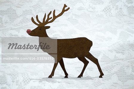 Reindeer