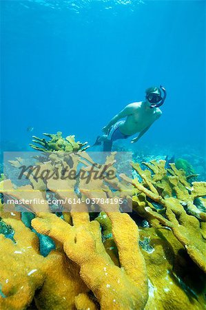 Male snorkeler on coral reef