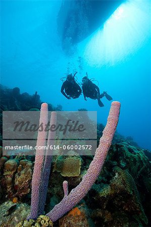 Scuba divers on a sloping wall
