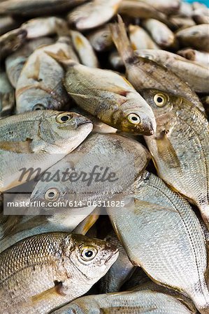 Dorade at fish market, Houmt Souk, Djerba, Tunisia