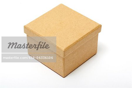 Brown paper box