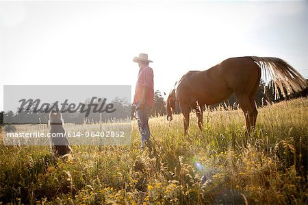 Man in a field with horse and dog