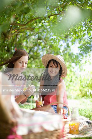 Women picnicking together in park
