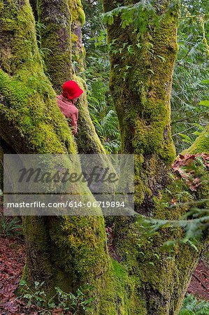 Woman climbing tree in forest