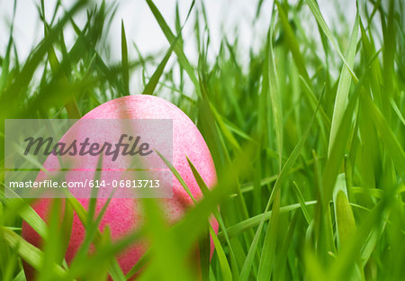 Pink easter egg hiding in grass