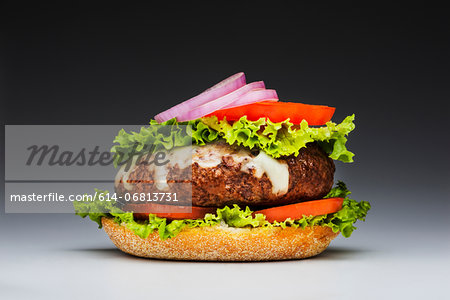 Burger with top missing