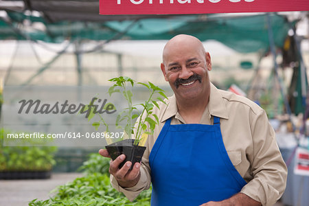 Mature man holding pot plant in garden centre, smiling