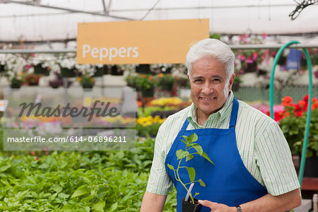 Senior man holding plant in garden centre, portrait