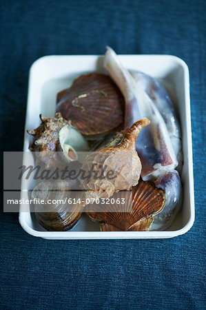 Sea shells for traditional Japanese dish